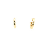 Elegant Gold Earrings