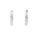 Diamond Sparkle Earrings